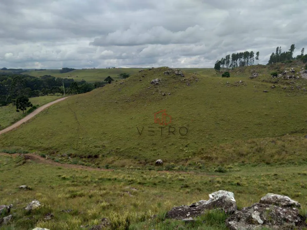 Sítio, 2 quartos, 25 hectares - Foto 2