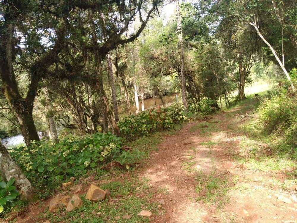 Sítio à venda com 2 quartos, 50m² - Foto 8