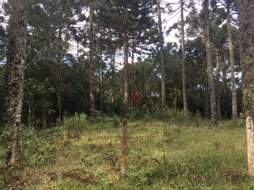 Terreno, 750 m² - Foto 3
