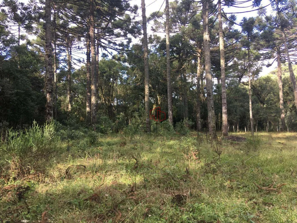 Terreno, 750 m² - Foto 5