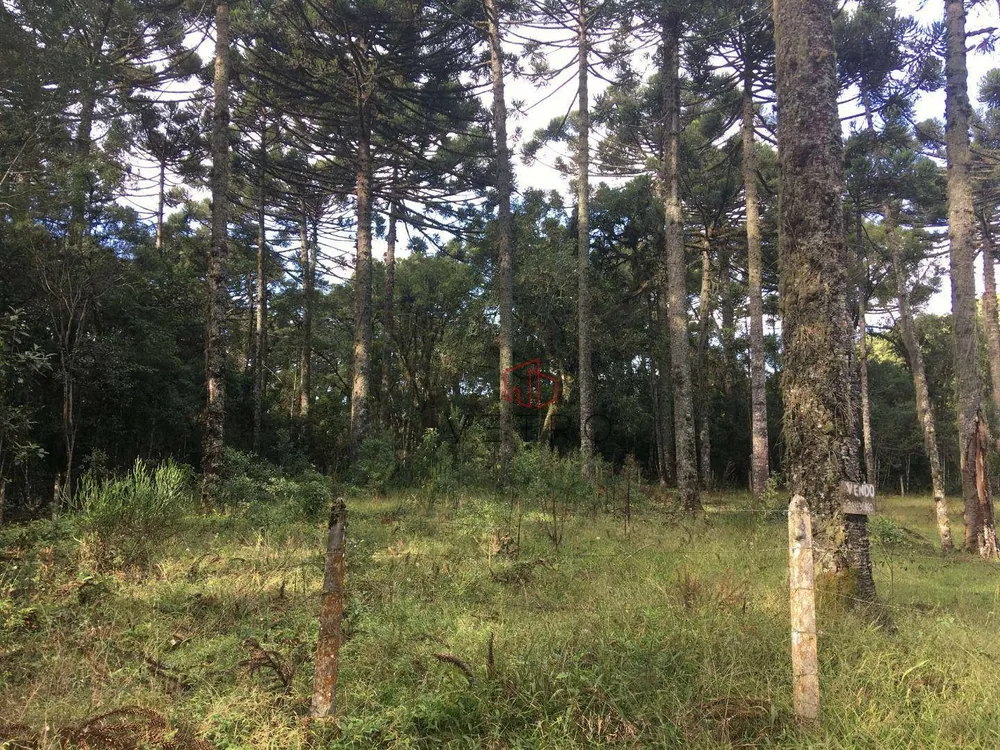 Terreno, 750 m² - Foto 1