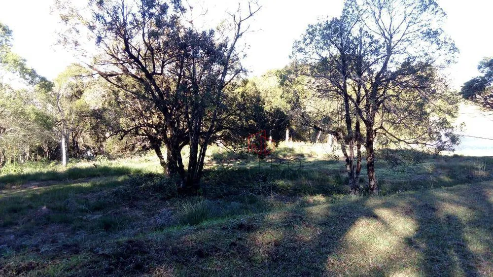 Loteamento e Condomínio, 3610 m² - Foto 4
