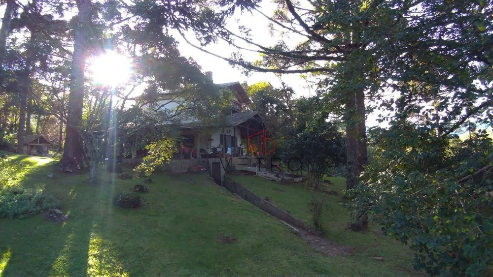 Sítio, 8 quartos, 24 hectares - Foto 7