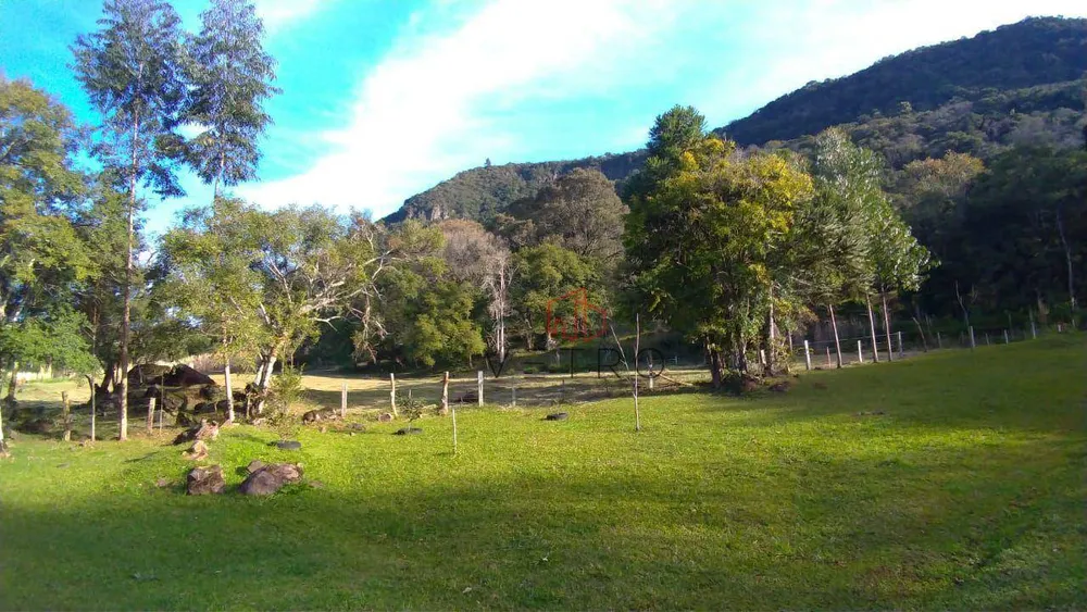 Sítio, 8 quartos, 24 hectares - Foto 4