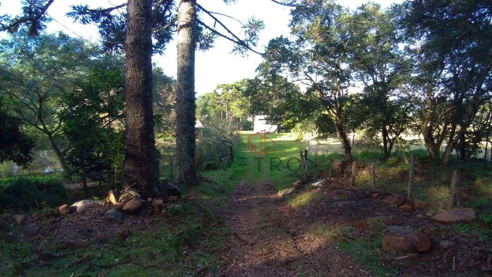 Sítio, 8 quartos, 24 hectares - Foto 2