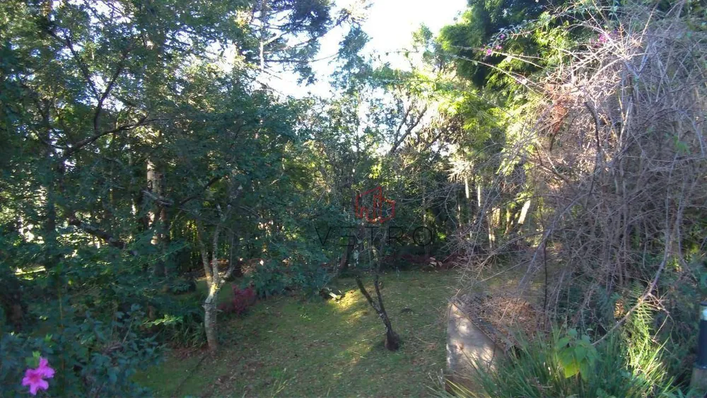 Sítio, 8 quartos, 24 hectares - Foto 6