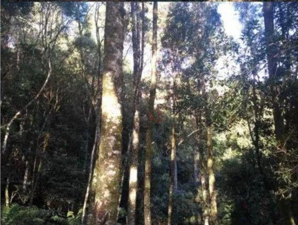 Terreno, 2016 m² - Foto 3