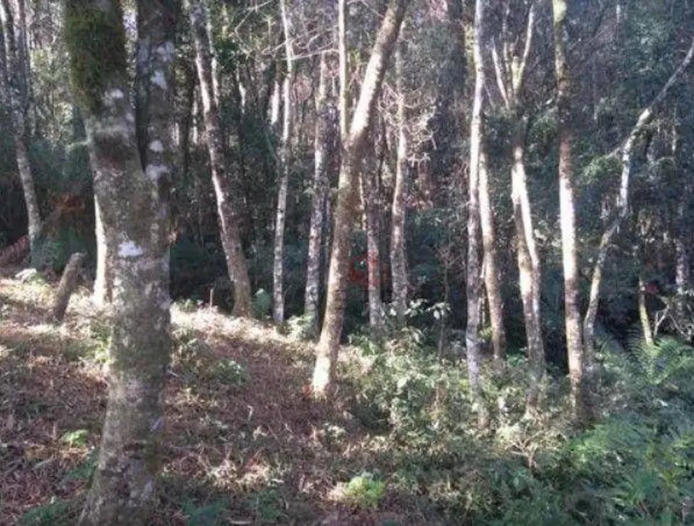 Terreno, 2016 m² - Foto 2