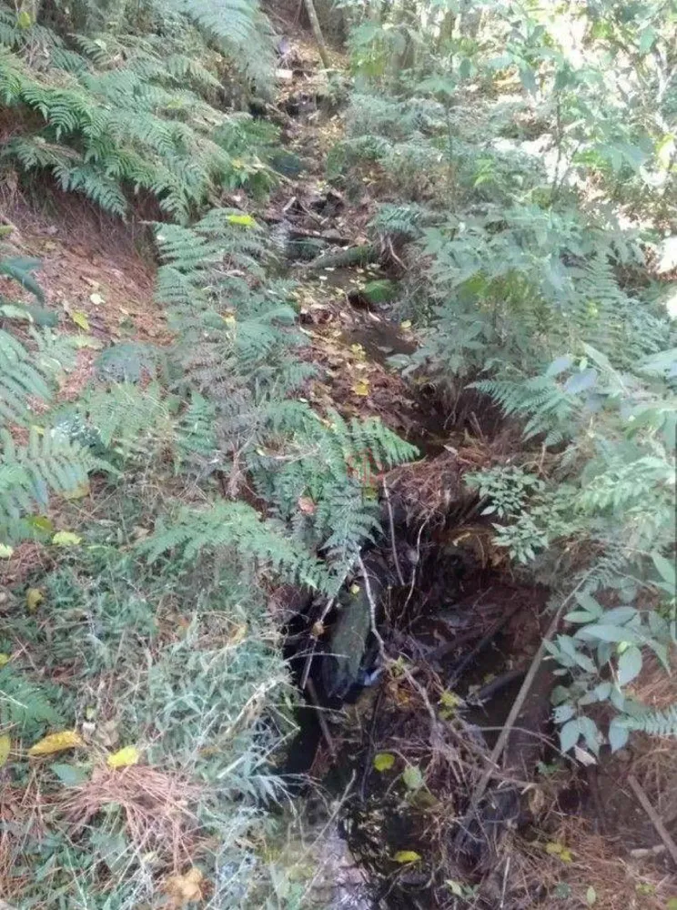 Terreno, 2016 m² - Foto 6
