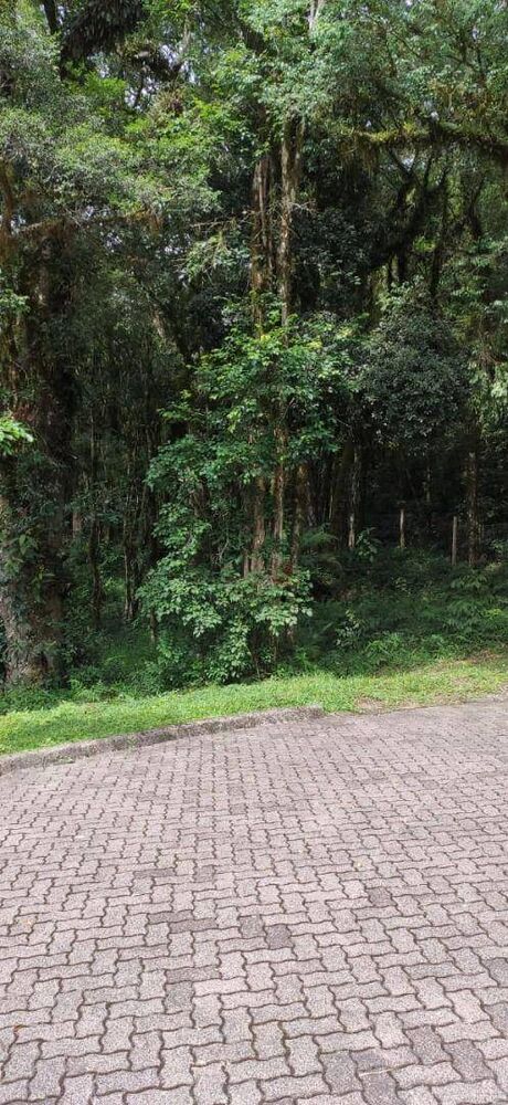 Loteamento e Condomínio, 639 m² - Foto 4