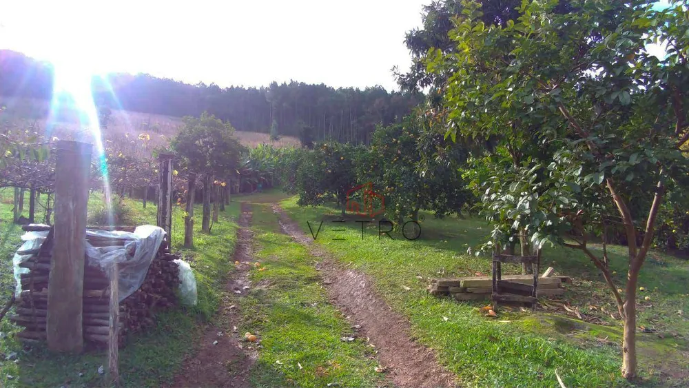 Sítio, 2 quartos, 12 hectares - Foto 1