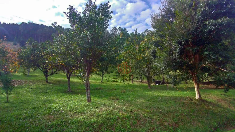 Sítio, 2 quartos, 12 hectares - Foto 3