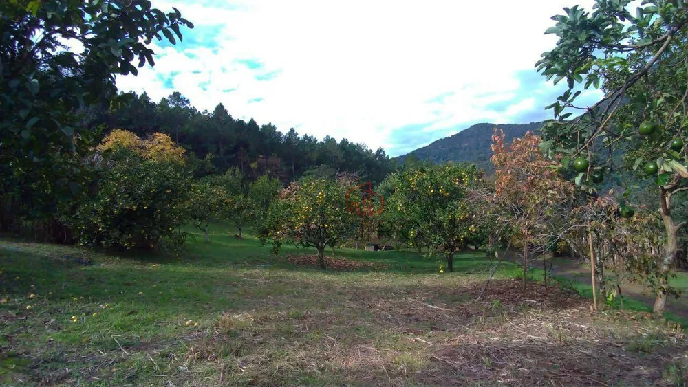 Sítio, 2 quartos, 12 hectares - Foto 2