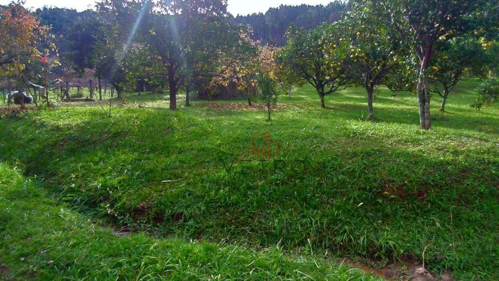 Sítio, 2 quartos, 12 hectares - Foto 4