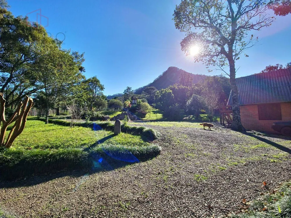 Sítio, 22 hectares - Foto 4