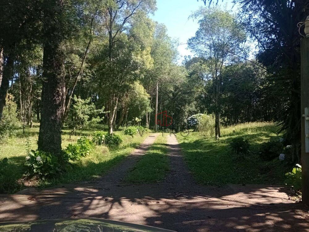 Chácara, 3 quartos, 2 hectares - Foto 4