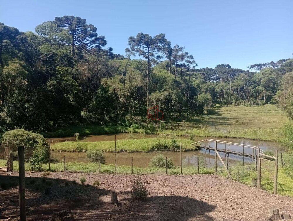 Chácara, 3 quartos, 2 hectares - Foto 6