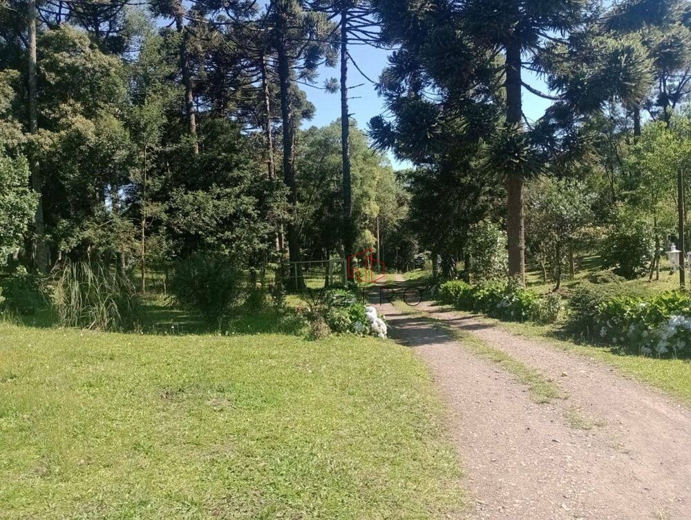 Chácara, 3 quartos, 2 hectares - Foto 5