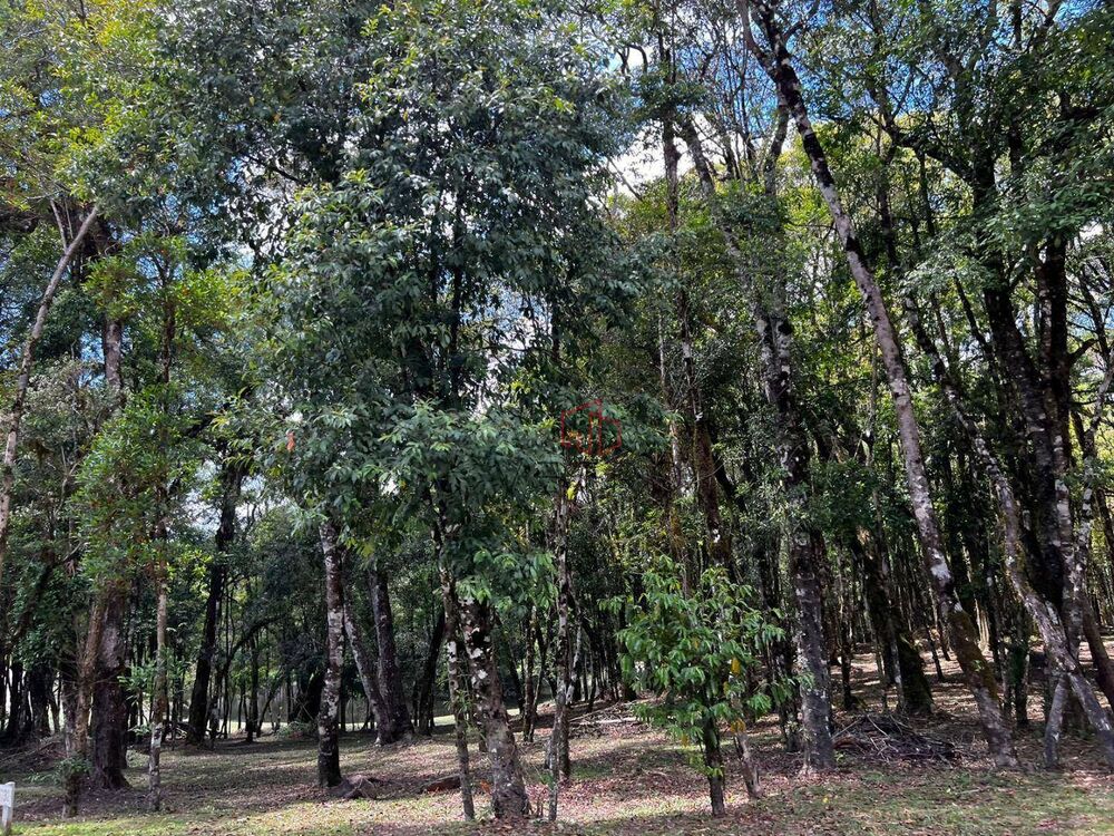 Loteamento e Condomínio, 450 m² - Foto 2