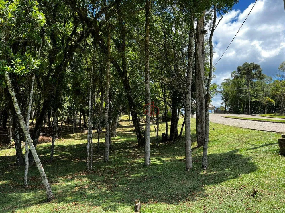 Loteamento e Condomínio, 450 m² - Foto 3