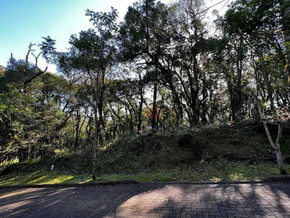 Loteamento e Condomínio, 885 m² - Foto 4