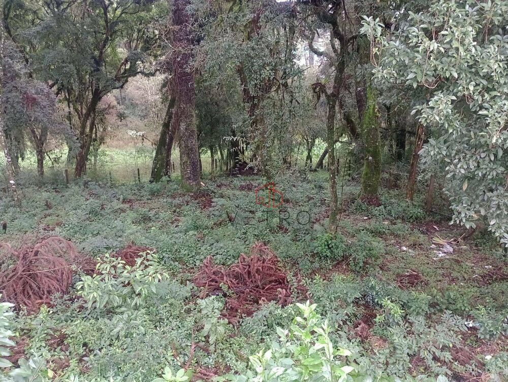 Terreno à venda, 672M2 - Foto 6
