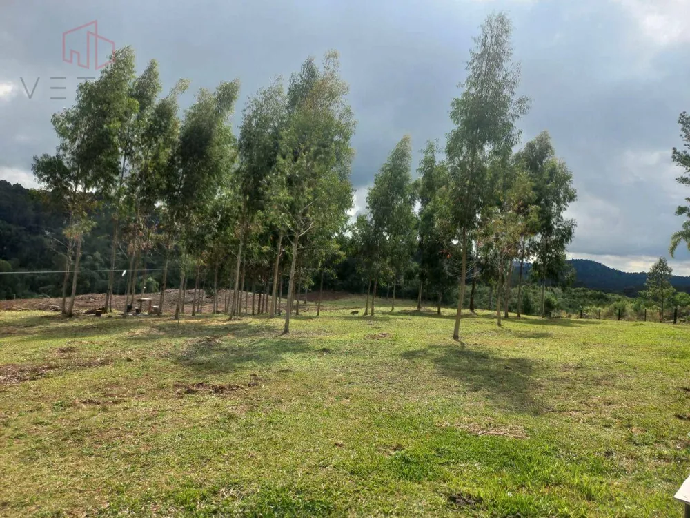 Terreno, 6613 m² - Foto 2