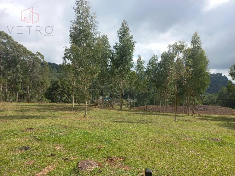 Terreno, 6613 m² - Foto 1