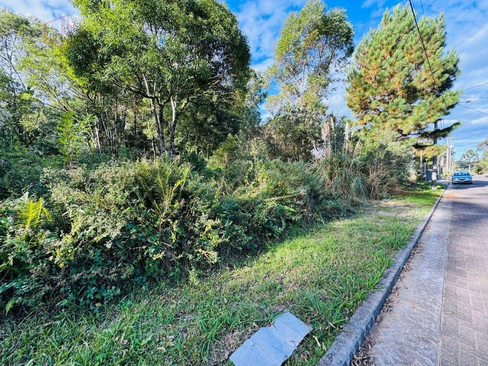 Loteamento e Condomínio, 470 m² - Foto 3