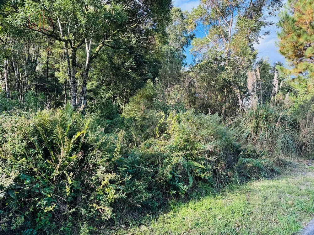 Loteamento e Condomínio, 470 m² - Foto 6