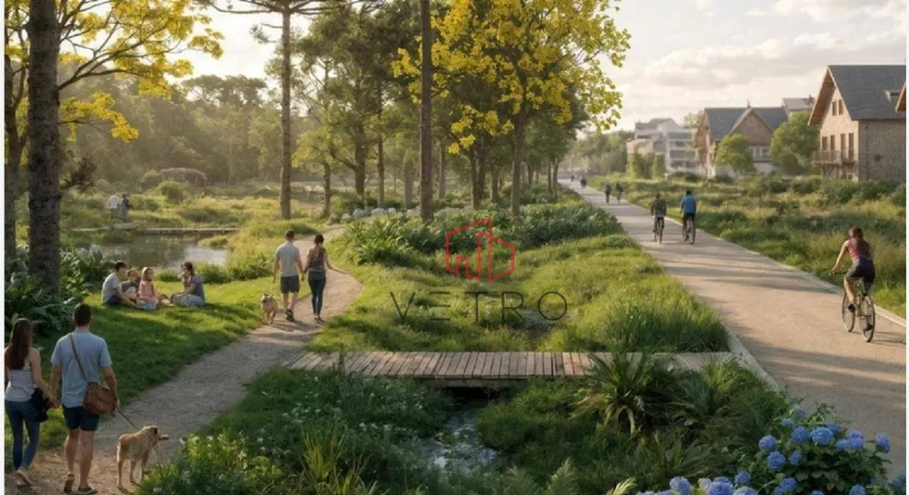 Terreno, 26 hectares - Foto 1