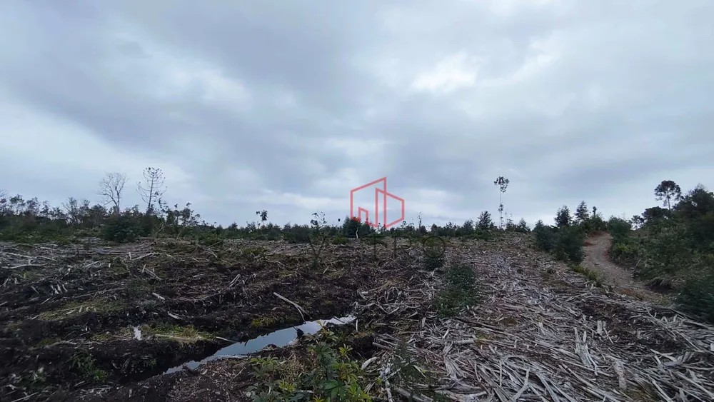 Sítio, 35 hectares - Foto 4