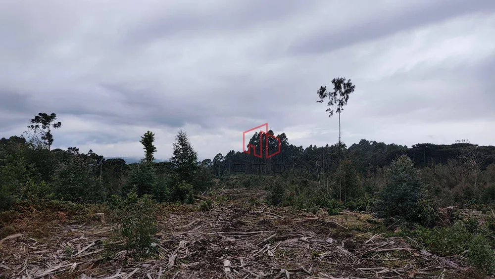 Sítio, 35 hectares - Foto 1