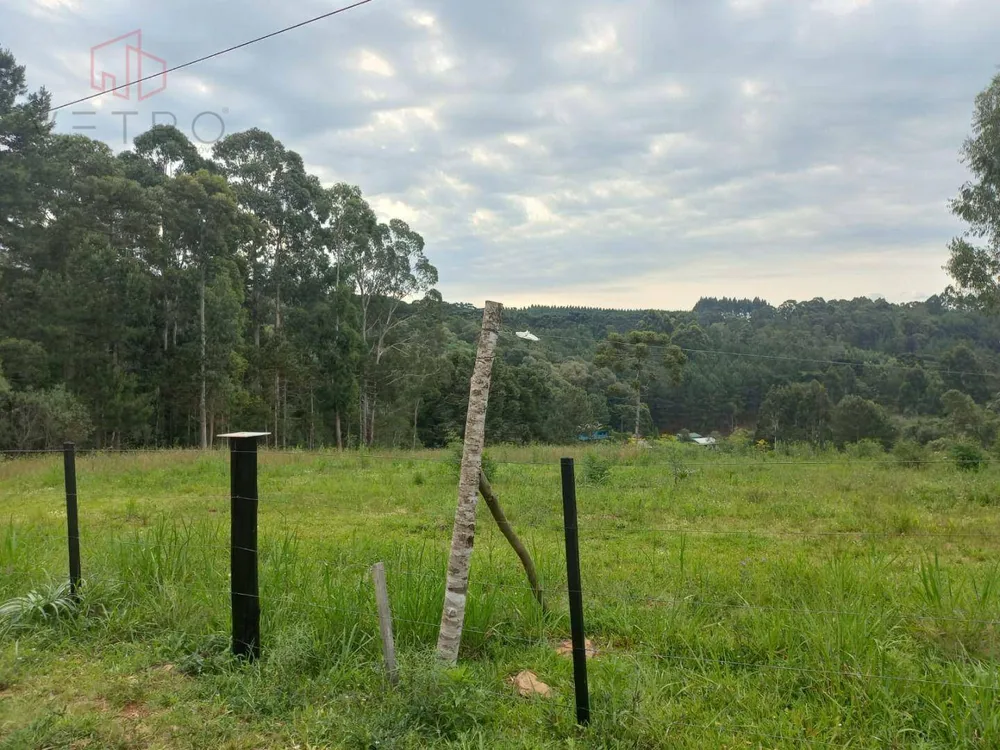 Terreno, 6470 m² - Foto 12