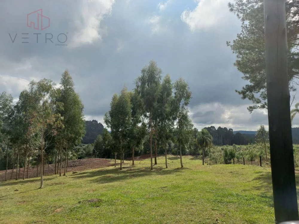 Terreno, 6470 m² - Foto 3