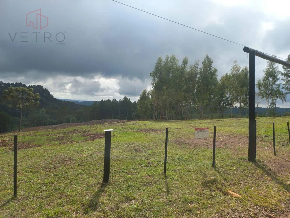 Terreno, 6470 m² - Foto 6