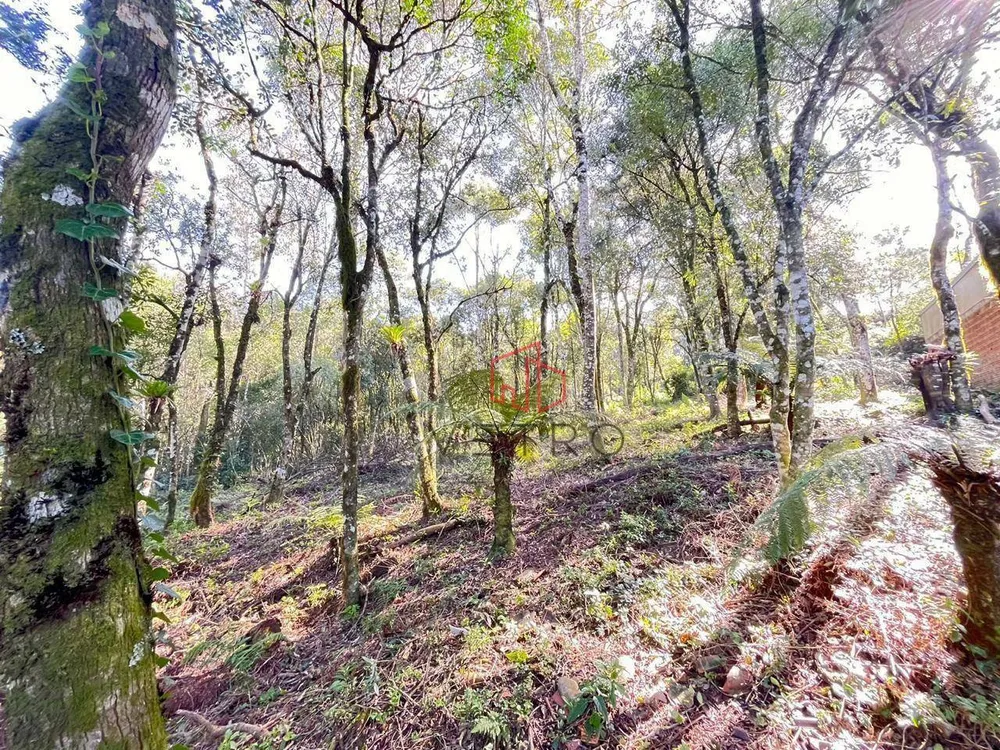 Terreno, 613 m² - Foto 3