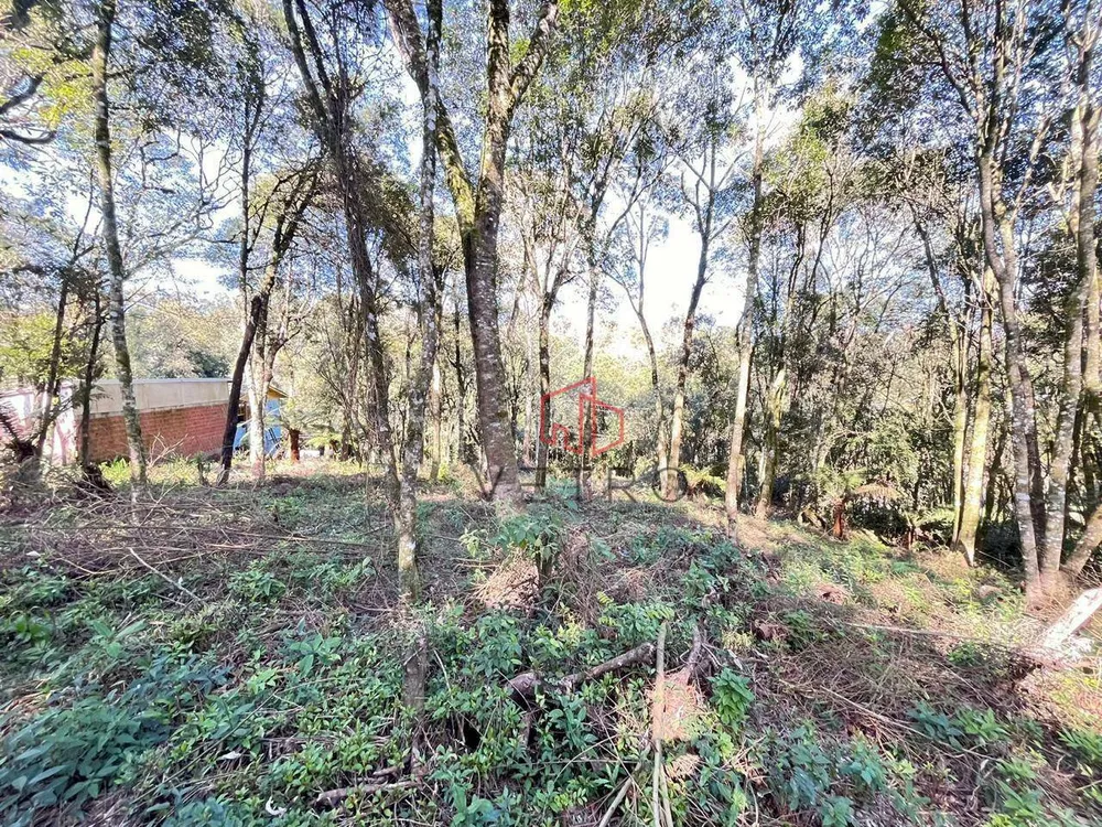 Terreno, 613 m² - Foto 1