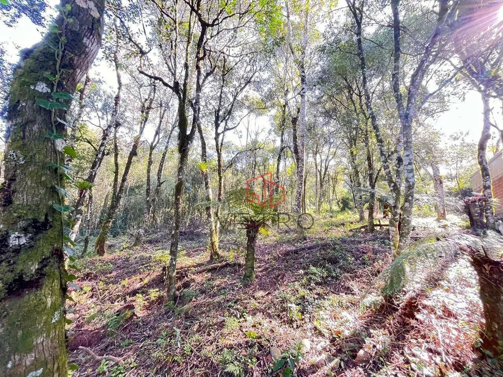 Terreno, 613 m² - Foto 2