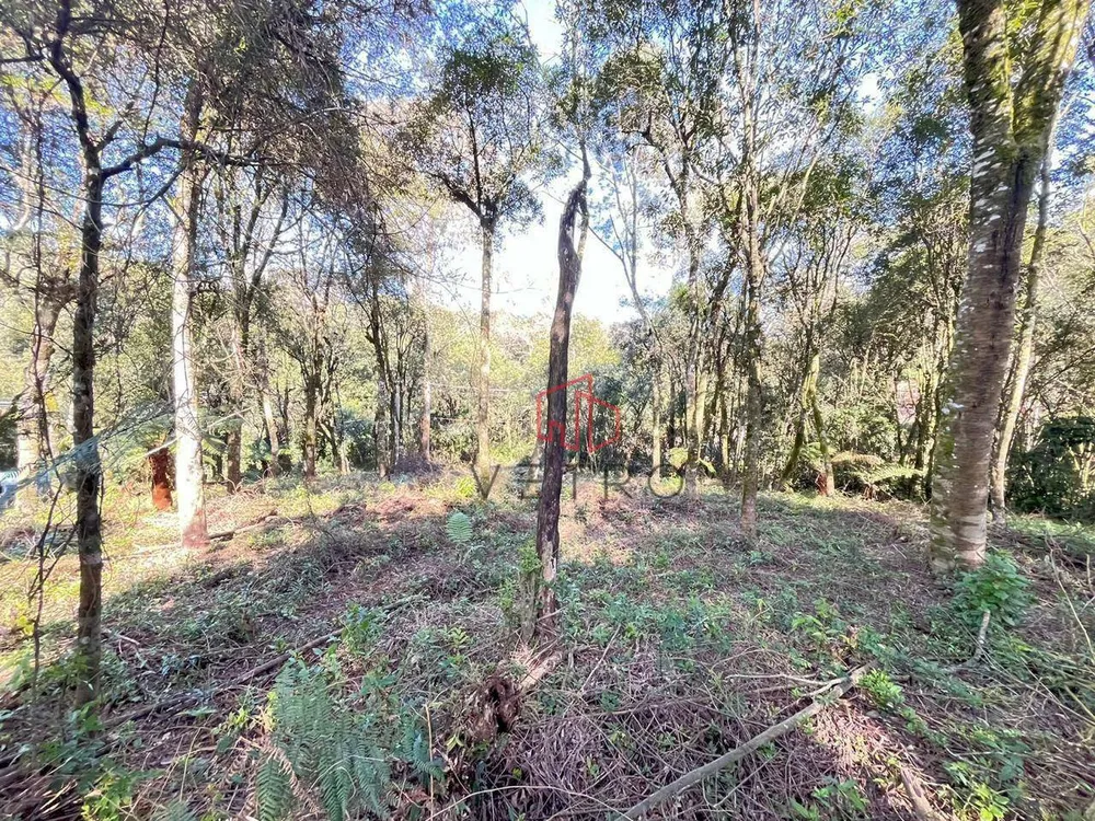 Terreno, 613 m² - Foto 6