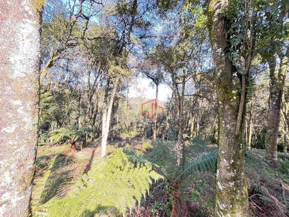 Terreno, 613 m² - Foto 8