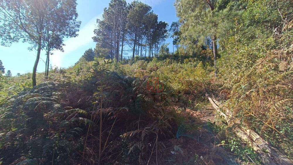 Loteamento e Condomínio, 634 m² - Foto 4