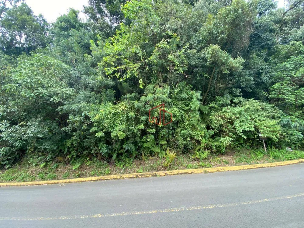 Terreno, 1200 m² - Foto 3