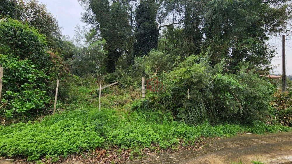 Terreno, 515 m² - Foto 5