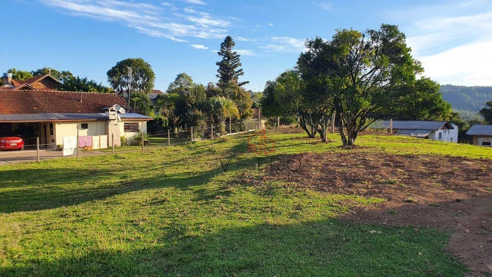 Terreno, 6353 m² - Foto 4