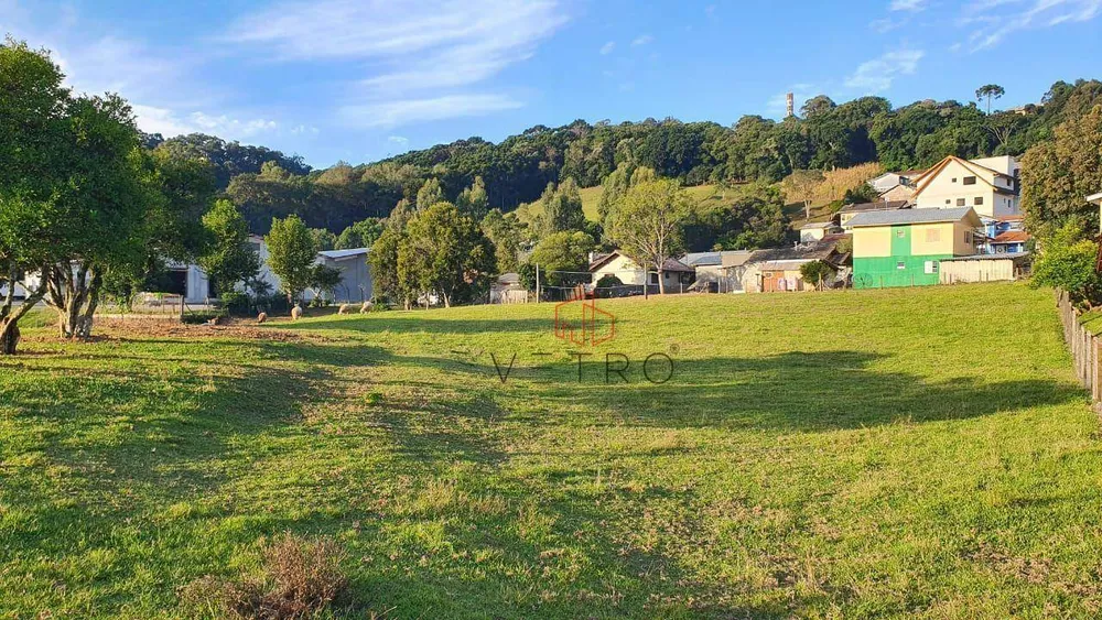Terreno, 6353 m² - Foto 2