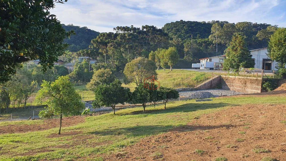 Terreno, 6353 m² - Foto 3