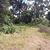 Terreno, 1168 m² - Foto 2