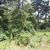 Terreno, 1168 m² - Foto 5