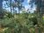 Terreno, 900 m² - Foto 2